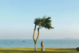 看过《布鲁克林有棵树》，治愈了原生家庭所有的伤图片