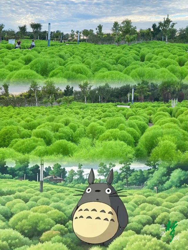生态城，竟然藏着一个这么美的地方