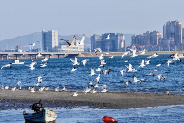 雪雪雪雪！烟台高热玩法攻略来了！