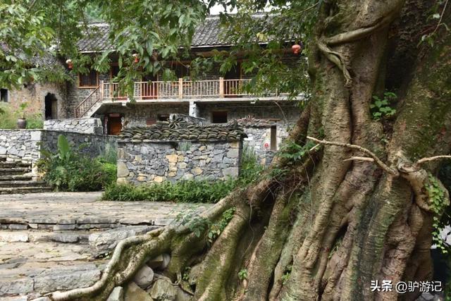 雨补鲁，天坑里的600年古村落，至今仅有一条路进出！