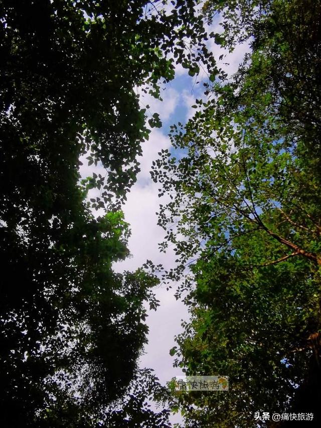 隐藏在自贡城区内的“一线天”