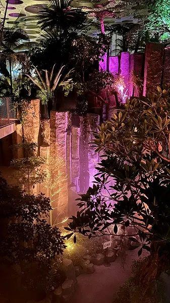 温室夜游，露天电影，夜场观展……夏夜消闲就在“双子山”下
