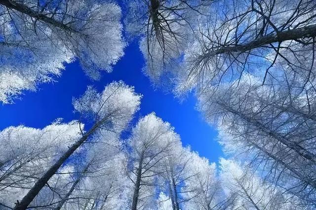 极境点银 特色成金——呼伦贝尔冬季文旅的差异化突围述评之一