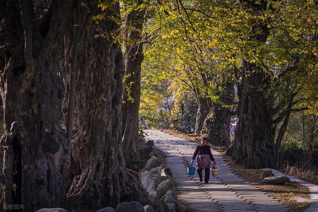 世界上只有中国泸州才有的全球独一无二的10大奇景！