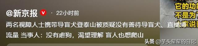 带导盲犬爬山后续：女主渴望被理解，坦言自己没错，澄清不是夫妻