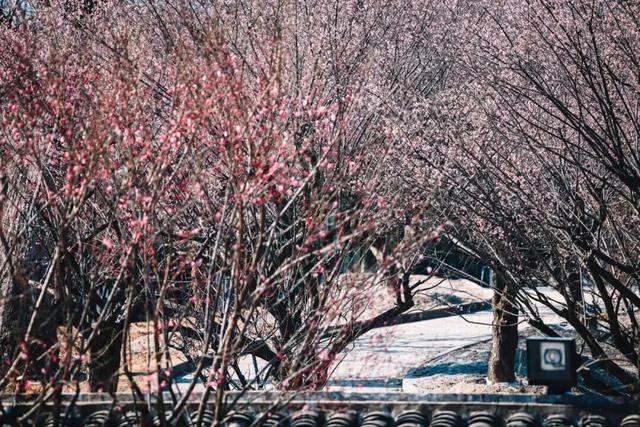 无锡又一大型雪世界，要来了！