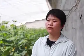 高温黄色预警！山东中北部、河北南部等局地气温达40℃图片