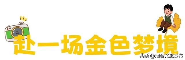 【乐游烟台】这是一份来自“金色梦境”的邀约，一起来撒欢
