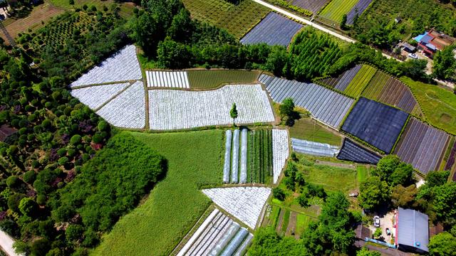 四川省都江堰市历史沿革及行政区划