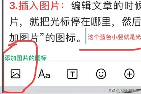 文章中如何插入视频与图片？详细讲解，不会的请仔细阅读！图片