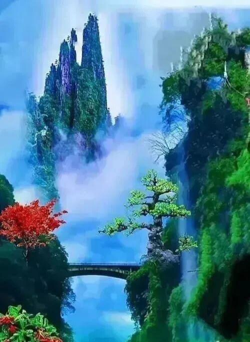 这才是真正的人间仙境，云雾缭绕，诗情画意的美！