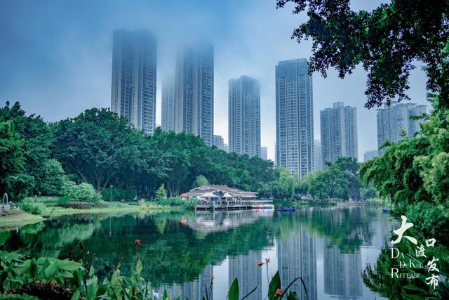下雨天，大渡口这些地方美成「烟雨江南」，快去拍！
