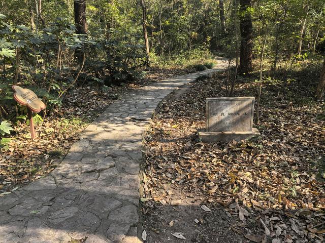 南京紫金山郊野徒步