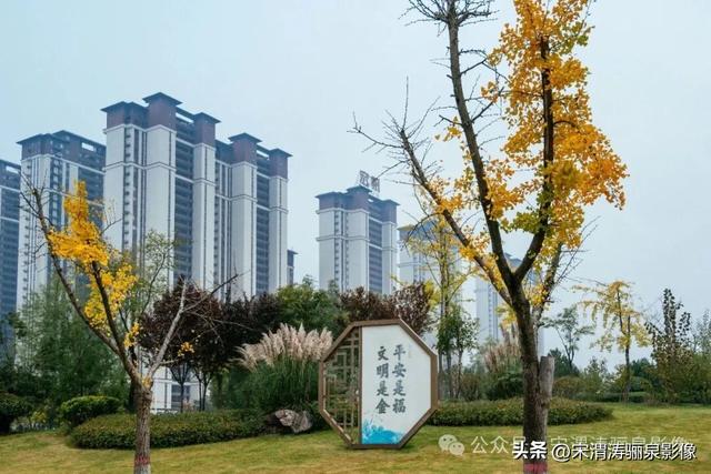 陕西渭南：人和公园亭台楼阁 秋色宜人 风光无限好