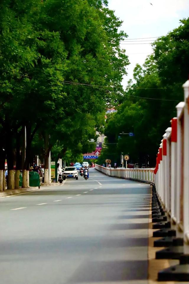 临洮，走一走，“道”处是风景~