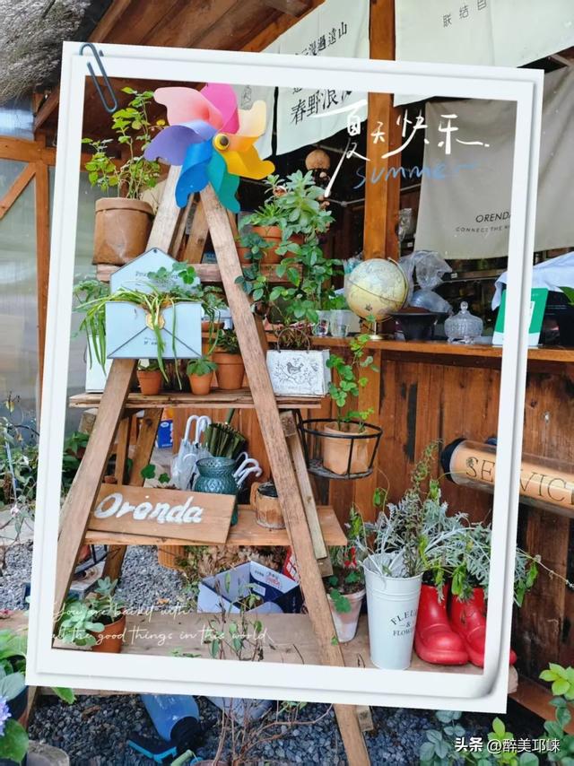 一起去山里过夏天吧！go go go 出发咯~