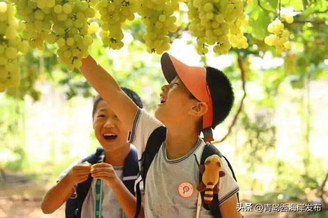 小众玩法上线，“反向游”西海岸！