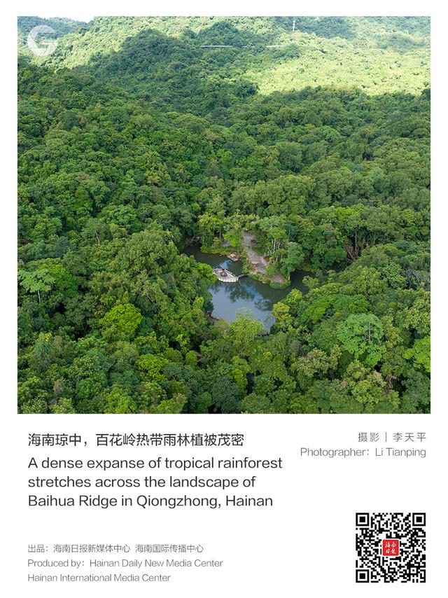 这样的海南，太让人心动！