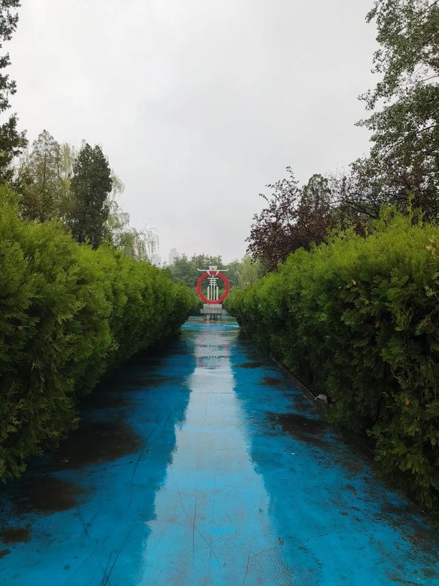 天津雨中的《红光公园》