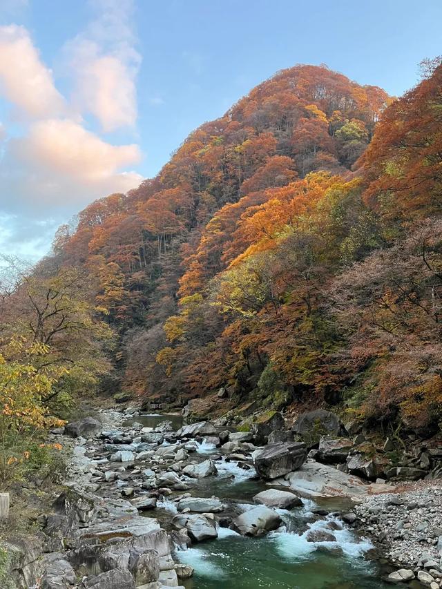 听劝!别再去光雾山米仓山人挤人,红叶没有啦!