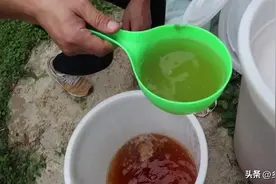 尿肥你还在单独发酵？看大家是怎么发酵的尿肥，功效翻了一倍图片