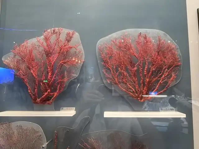 天津游记（上）