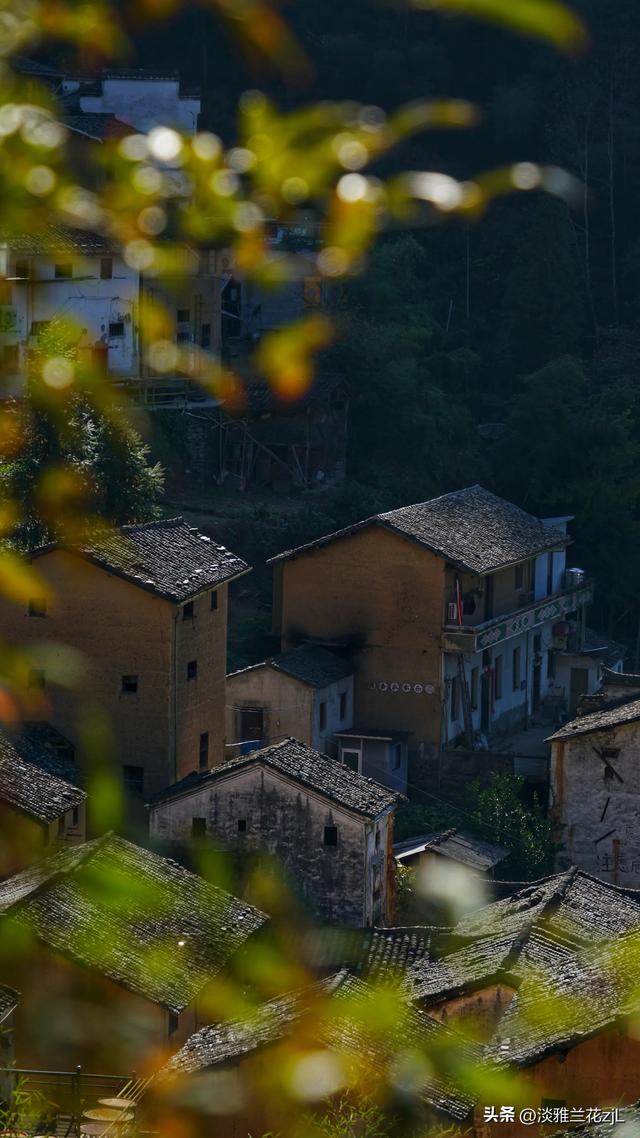 皖南秋摄阳产土楼晒秋