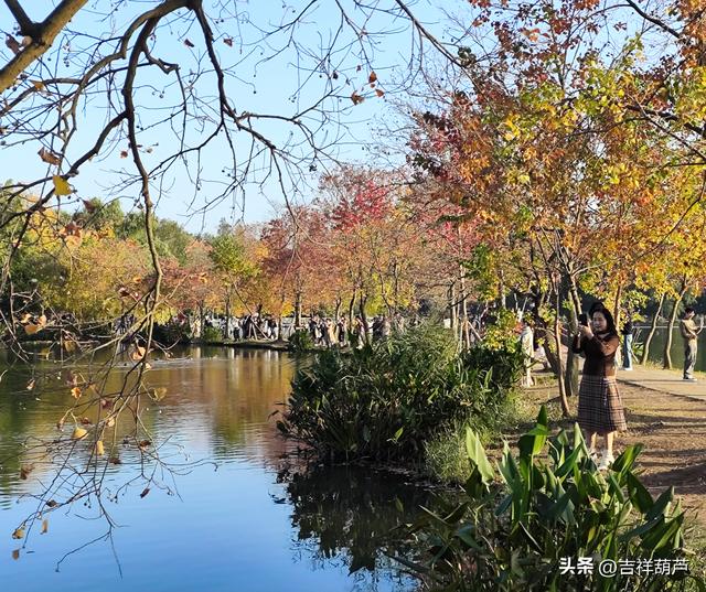 初冬‖钟山前湖月牙堤的日落，美的人移不开眼，停不下手拍摄！