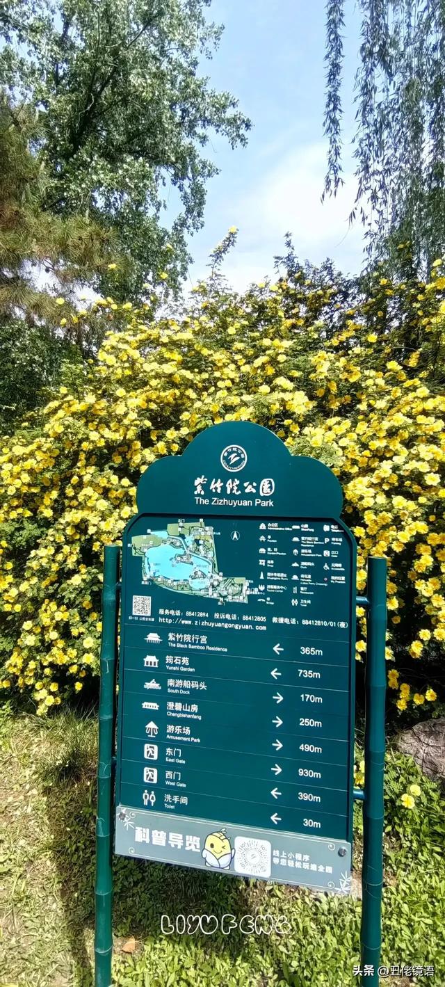 自拍影集（30）紫竹院公园风景绿水轻舟·上