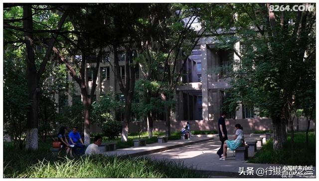 山东行游影记（15）—济南山东大学（二）