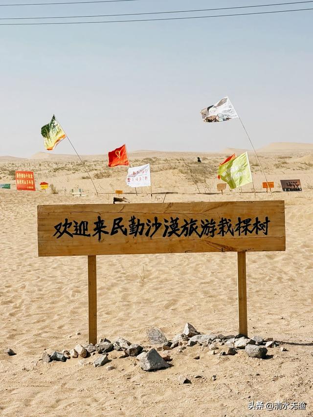 甘肃这座城，名气不大却出了很多国宝景点，藏着比敦煌更早的石窟