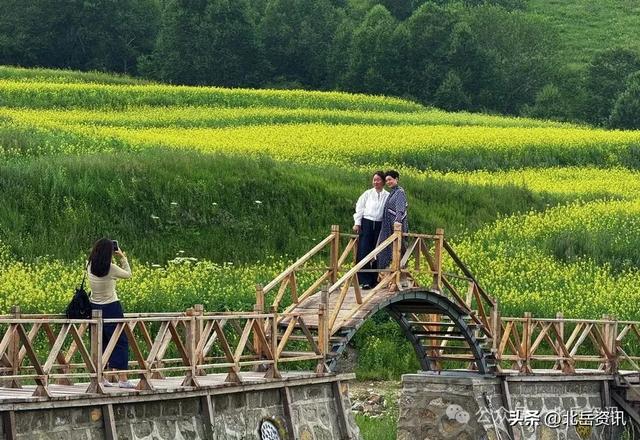 浑源县东葫芦头村：油菜花海引客来 清凉乡村醉游人