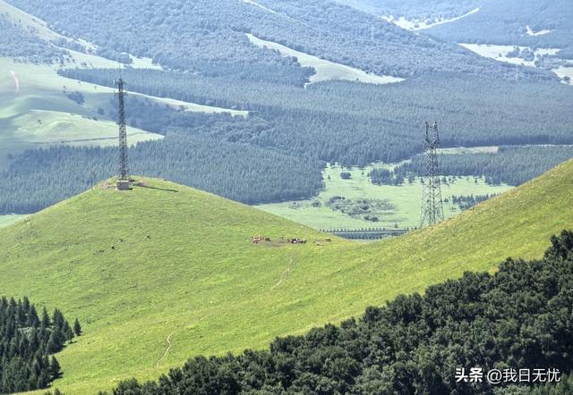 我是成都人，刚从河北丰宁回来，憋了一肚子感受和疑问不吐不快。