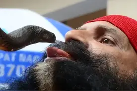 印度醉汉和毒蛇互咬，被毒蛇咬中舌头不认输，满脸鲜血还不去医院图片