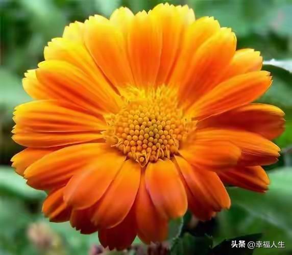 相逢已是上上签，何须相思煮余年