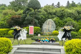 稻穗永驻，梦想不朽，致敬袁隆平！图片
