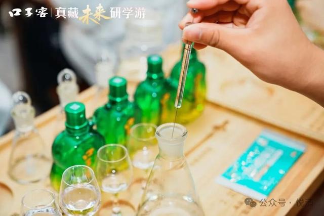 酒香润成长，文化启新程口子窖2025“真藏未来研学游”圆满收官