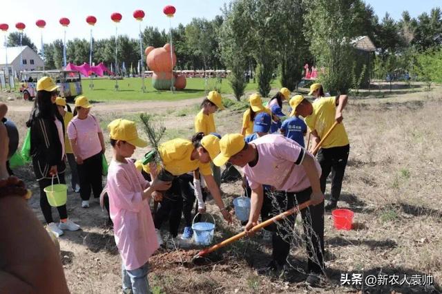 “我在彰武有棵树”生态主题研学游成果显著