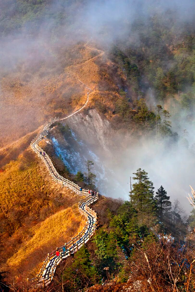划得来！秋天来西岭雪山看彩林，门票直接免了！