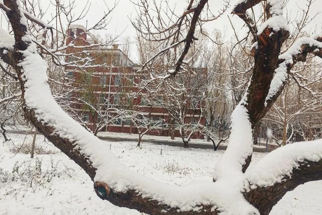 赴一场校园雪约,猜猜哪栋是你的 “温暖小窝”