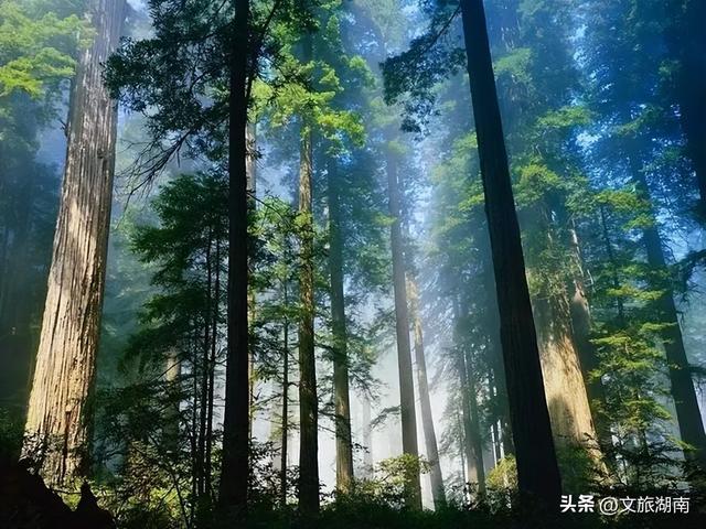 长沙，真的美！