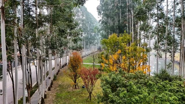 晒太阳~从从容容逛公园赏美景