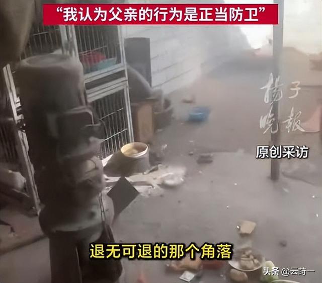 狗主人被反杀案开庭，9人闯门打砸，妻子后悔冲动，更多细节披露