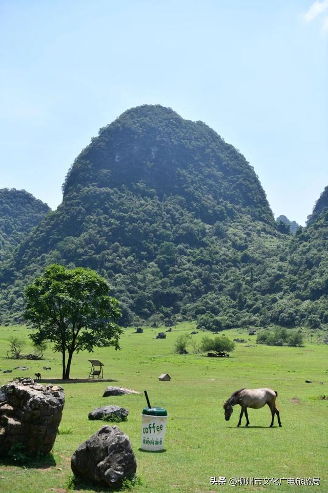 一个被严重低估的宝藏地！卸载48小时城市内卷，到鹿寨中渡加载山水与人间烟火