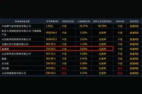 牛散夏重阳做了6个翻倍股，又埋伏这6个股票，全是低价股图片