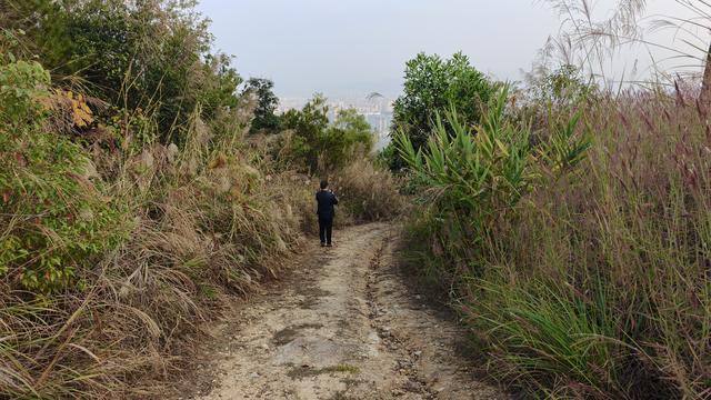 梅城西郊发现俯瞰梅城的最佳景点，一眼可见皇家名典金沙湾千佛塔