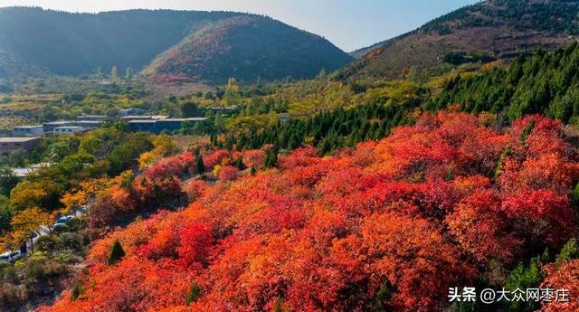 四季流转 多彩枣庄 | 枣庄：凤凰绿道色彩斑斓风景如画