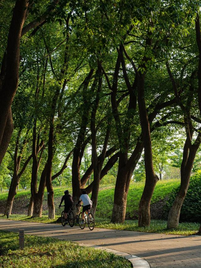 与世界级车手同赛道！解锁苏州太湖1号公路东太湖S湾最美骑行线
