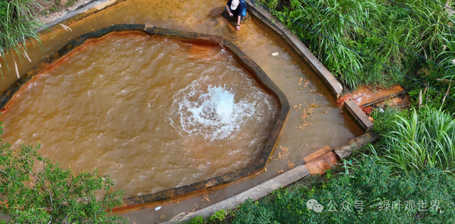 广东梅州大山奇怪的水池，水池出水量巨大，喷涌出黄褐色的液体