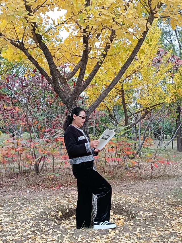 宣化万柳公园银杏黄来火炬红，战友军嫂游园观赏图片集